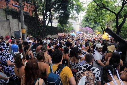 Pré-Carnaval 2026: Bloco Mama na Vaca