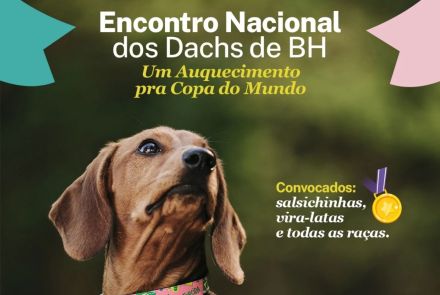 Encontro de Dachshunds e Arena CrossDog