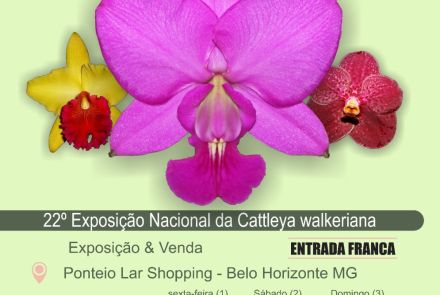 Exposição e Feira de Orquídea
