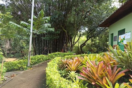 Parque Municipal Ursulina de Andrade Mello 