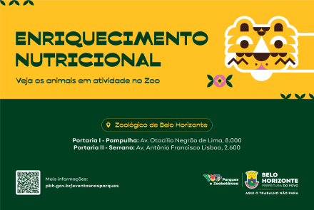 Veja os animais em atividade no Zoo