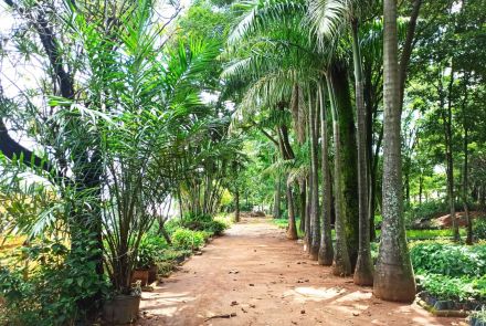 Parque Jacques Cousteau 