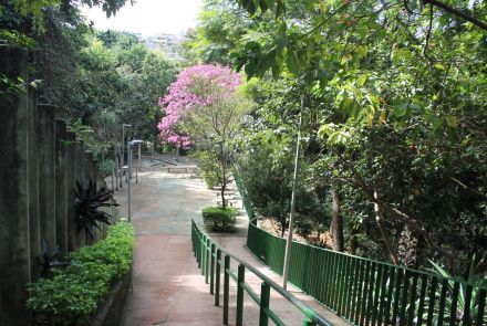 Parque José Lopes dos Reis