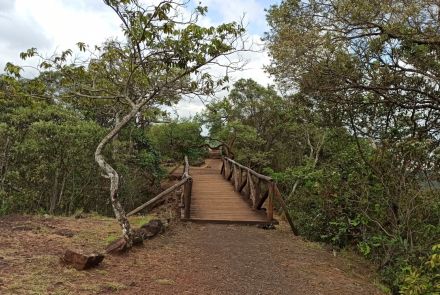 Parque das Mangabeiras - Maurício Campos