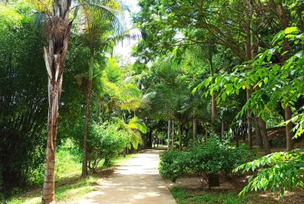 Parque Nossa Senhora da Piedade 