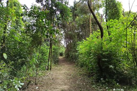 Parque Municipal Ursulina de Andrade Mello 