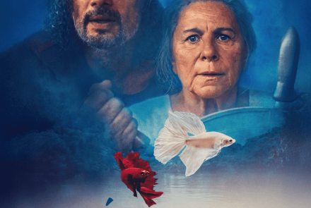 Poster do filme