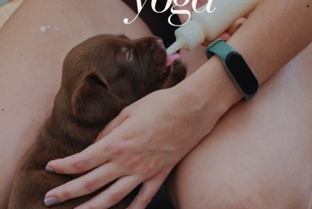 5ª Edição: Puppy Yoga