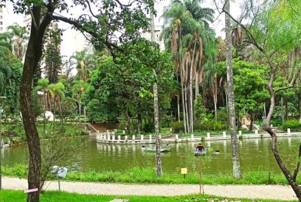 Parque Municipal Américo Renné Giannetti (Parque Municipal) 