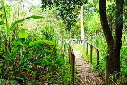 Parque Ecológico do Brejinho 