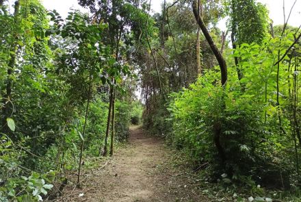 Parque Municipal Ursulina de Andrade Mello