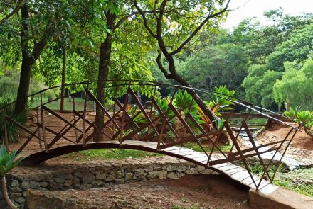 Parque Ecológico Roberto Burle Marx