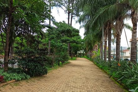Parque Jacques Cousteau