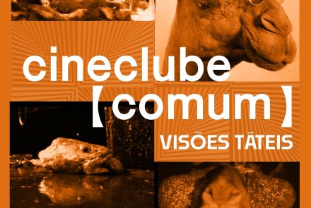 Foto de capa para divulgação do evento CineClube Comum no Palácio das Artes 
