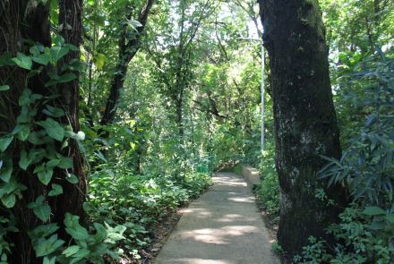 Parque Ecológico e de Lazer do Bairro Caiçara