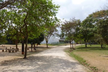 Parque Ecológico Francisco Lins do Rêgo (Parque Ecológico da Pampulha - PEP)
