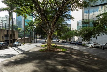 Uma rua larga e arborizada em área urbana, vista de uma calçada. No centro, há uma grande árvore com copa ampla, que lança sombra sobre o chão. À esquerda aparecem palmeiras altas e prédios modernos de vidro, enquanto à direita há um prédio grande de fachada clara e espelhada. Carros estão estacionados ao longo da rua e alguns circulam. O clima parece ensolarado, com luz forte e sombras bem marcadas