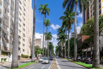 Uma avenida larga e elegante, com um canteiro central estreito, repleto de palmeiras imperiais muito altas, alinhadas em duas fileiras que se estendem até o horizonte. Dos dois lados da rua, há prédios altos residenciais e comerciais, alguns de fachada clara e outros mais modernos. Carros circulam nas duas pistas e outros estão estacionados ao longo das calçadas. O céu azul com algumas nuvens brancas dá ar ensolarado e vibrante à cena.