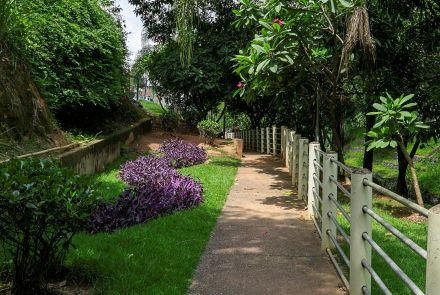 Caminho de cimento liso ladeado por grades metálicas brancas à direita. À esquerda, gramado verde com arbustos e canteiro de plantas roxas. Árvores altas, incluindo palmeiras e arbustos floridos, sombreiam parte da trilha.