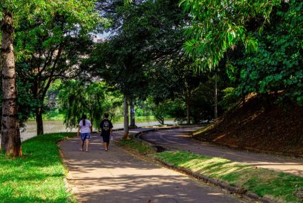 Um caminho curvo em um parque. Duas pessoas caminham no primeiro plano, por um caminho de cimento e asfalto. O local é cercado por grandes árvores, com sombras no chão. À esquerda, há um lago e vegetação. À direita, um morro de terra íngreme. O sol cria um efeito de luz e sombra na cena.