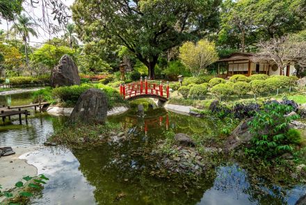 O Jardim Japonês do Zoológico de BH, com um belo cenário composto por vegetação ornamental, rochas decorativas e um lago sereno. Ao centro, destaca-se uma ponte arqueada de madeira com pintura vermelha, refletida na água. Ao fundo, há uma tradicional casa de chá japonesa, cercada por arbustos podados e árvores cuidadosamente dispostas. O ambiente transmite tranquilidade e harmonia, com forte influência estética da cultura japonesa.
