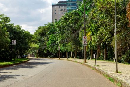 Uma rua de asfalto que faz uma curva suave para a direita, ladeada por árvores e vegetação densa. À direita, uma calçada de pedras portuguesas e postes com placas de trânsito de "proibido estacionar". À esquerda, um gramado. Ao fundo, por entre as árvores, avista-se a parte superior de um edifício alto.