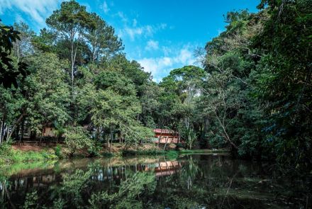 Lago rodeado por árvores densas, refletindo a vegetação na água. Ao fundo, entre as árvores, há construções simples com telhados vermelhos. O céu azul com poucas nuvens aparece acima da copa das árvores.