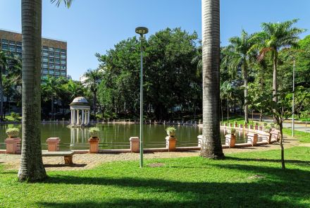 A vista de um lago no Parque Municipal. O gramado verde em primeiro plano é emoldurado pelos troncos de duas grandes palmeiras. No centro, há um lago com um gazebo redondo e branco sobre uma pequena ilha. O lago é cercado por árvores, e um prédio alto é visível ao fundo, à esquerda. O céu está azul e sem nuvens.