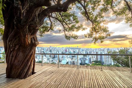 Grande árvore de tronco retorcido em primeiro plano sobre passarela de madeira elevada. Corrimão metálico contorna a borda. Ao fundo, vista da cidade com muitos prédios sob céu com nuvens iluminadas pelo pôr do sol.