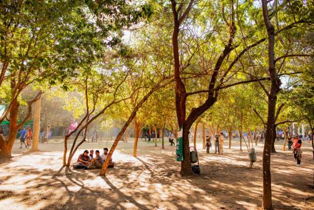 Pessoas em um parque