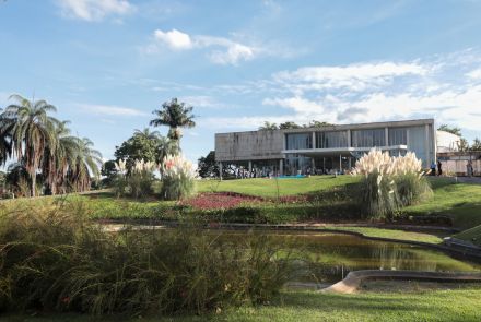 MAP - Verônica Manev