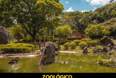 ZOOLÓGICO